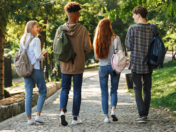 Youth Mental Health Champions